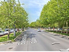 Theodor Palady, teren 8300 mp